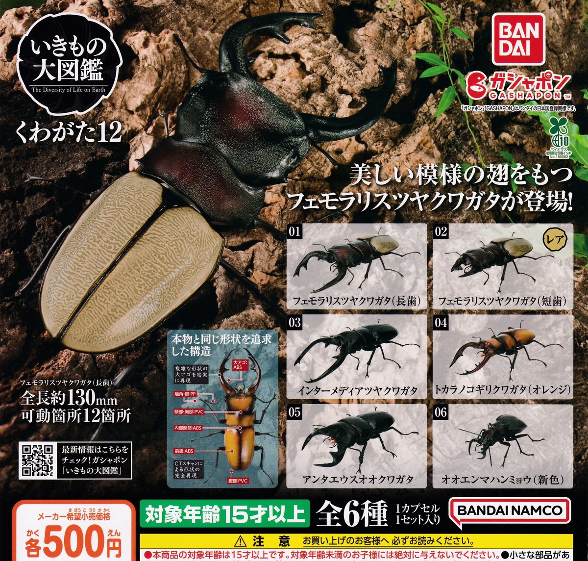 🌈本日の新作情報✨ ⭐️いきもの大図鑑 くわがた12 ⭐️【プレガシャ