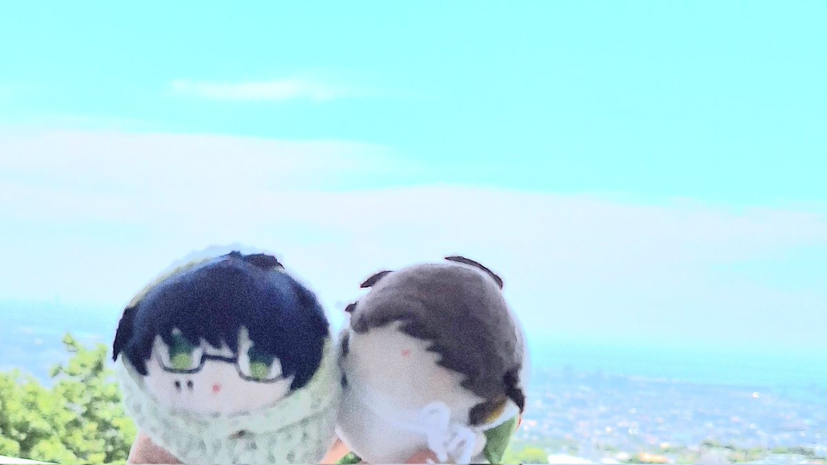 まどりん tweet media