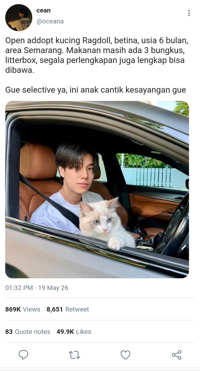 calv🌙 – kinda ia tweet media