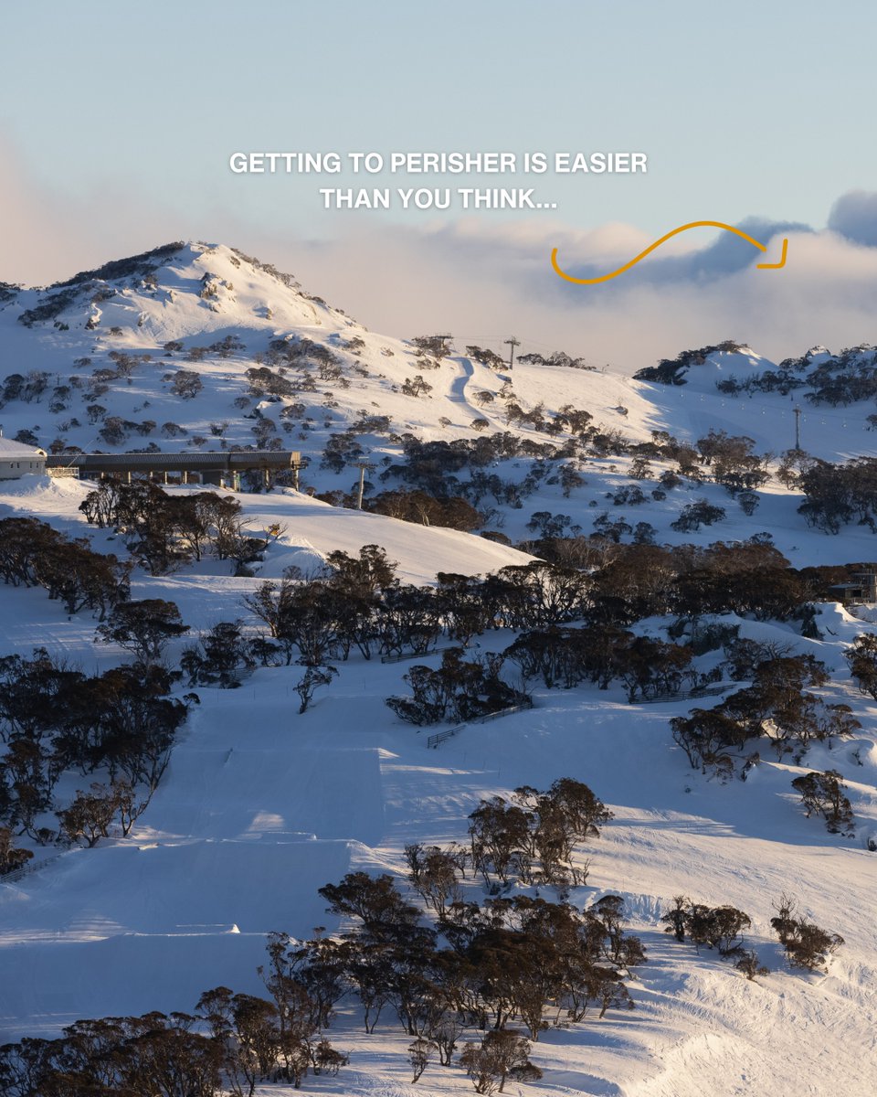 Perisher tweet media