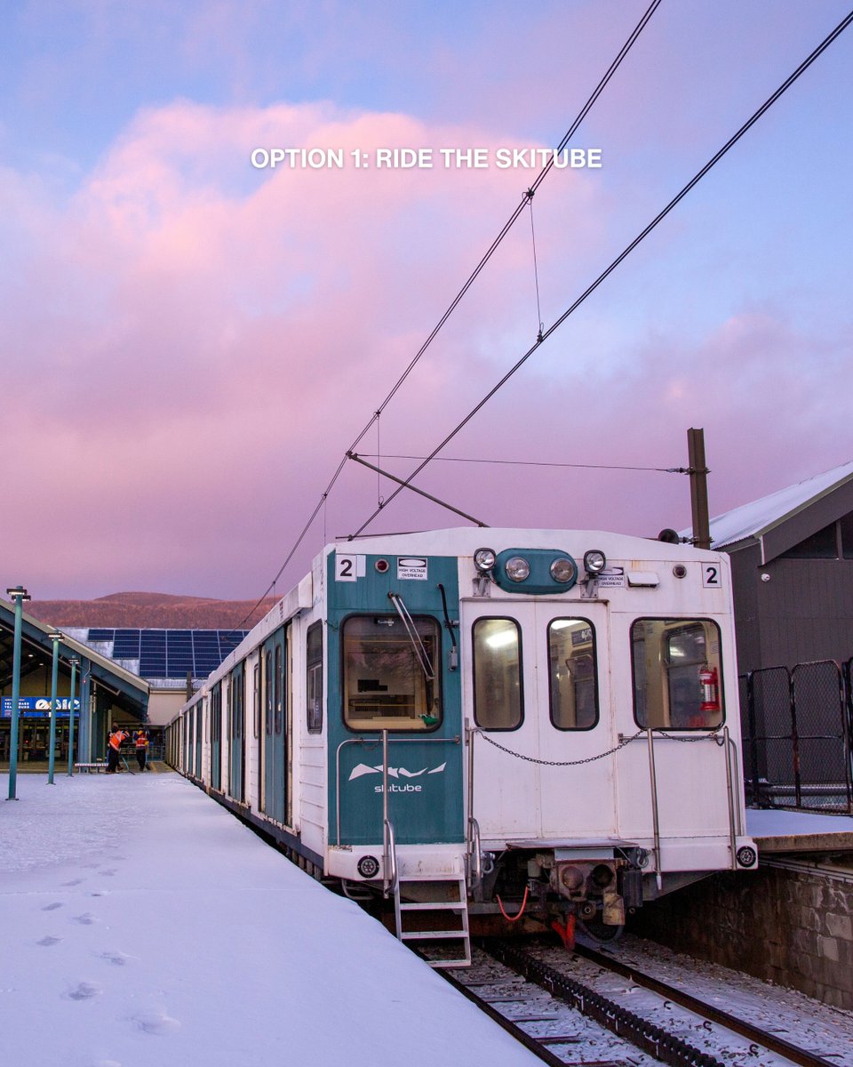 Perisher tweet media