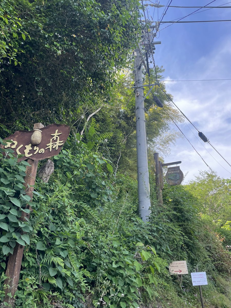fbpn_'s tweet photo. 2y旅行☺️ https://t.co/9YoN3tzIRc
