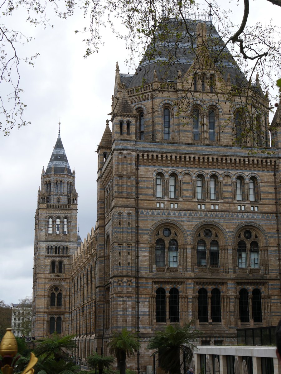 Alexandra_O_B's tweet photo. ロンドン自然史博物館🦖 https://t.co/0ISviP6w8Q