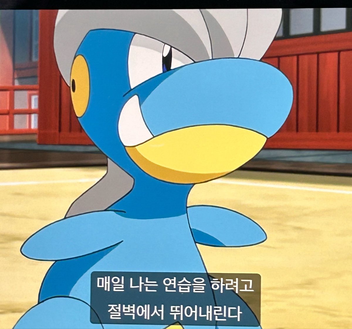 굉광 tweet media