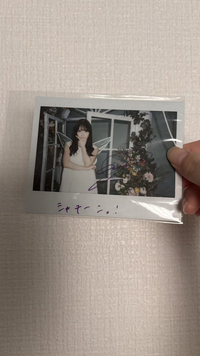 まほ tweet media