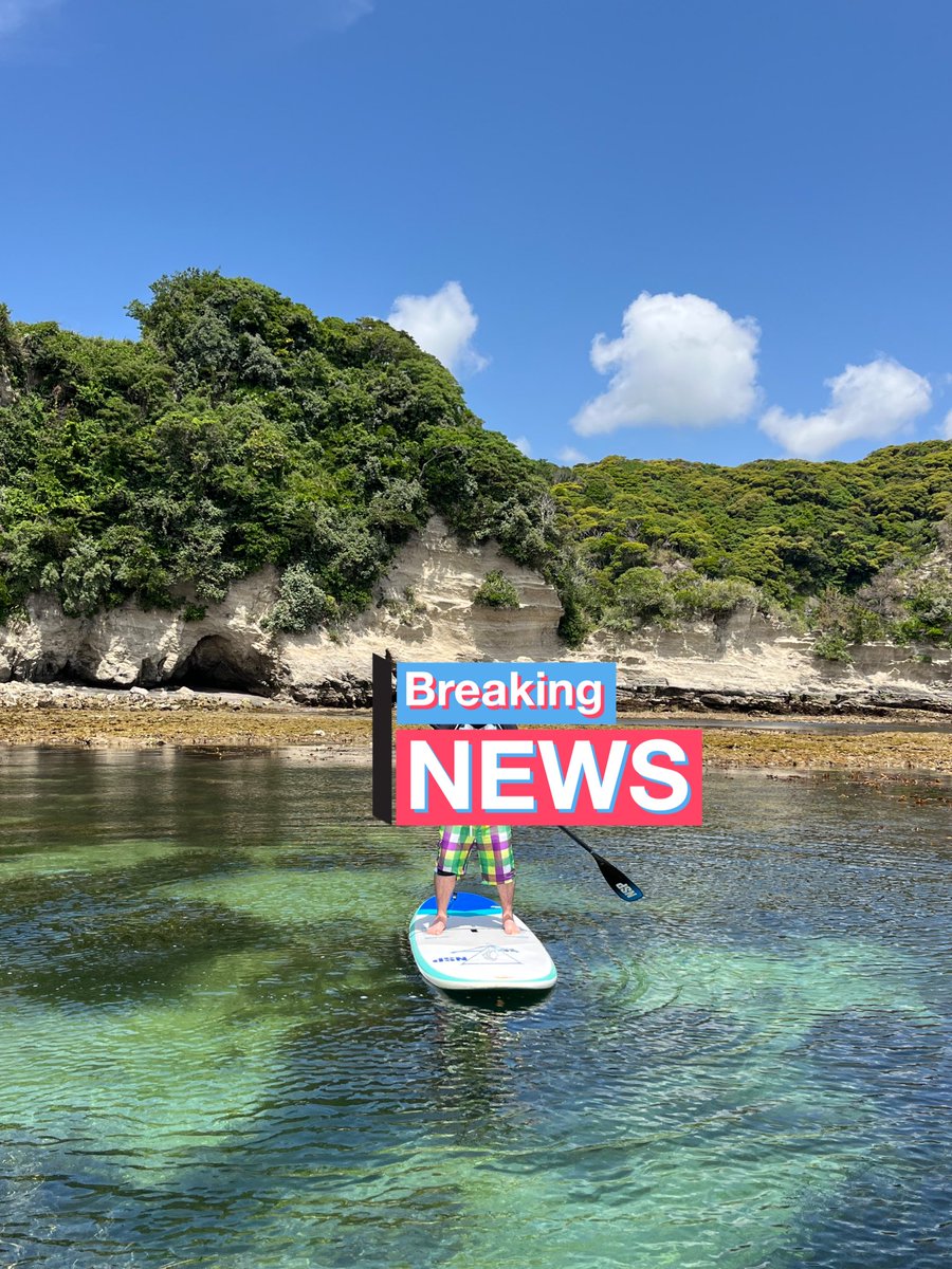 toshirepair's tweet photo. 今日は初サップ！
海の上に立って移動は最高！
ハリセンボンとウツボも見れてよかた🐟 https://t.co/dNfU7q6Oli