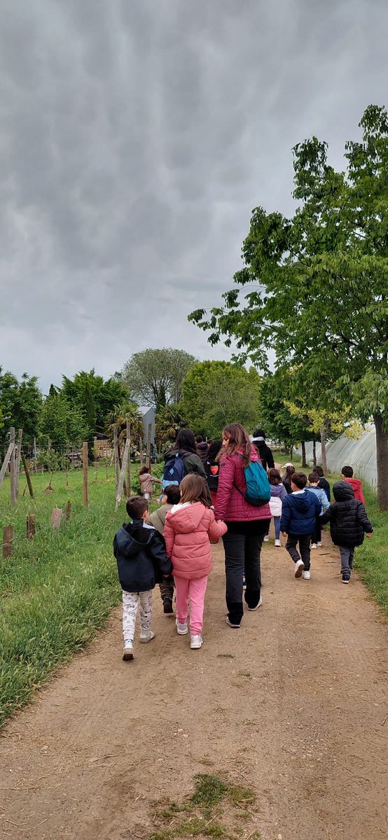 CEIP Félix Rodríguez de la Fuente tweet media