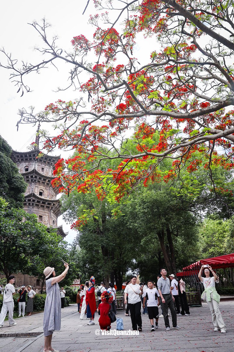 Visit Quanzhou tweet media