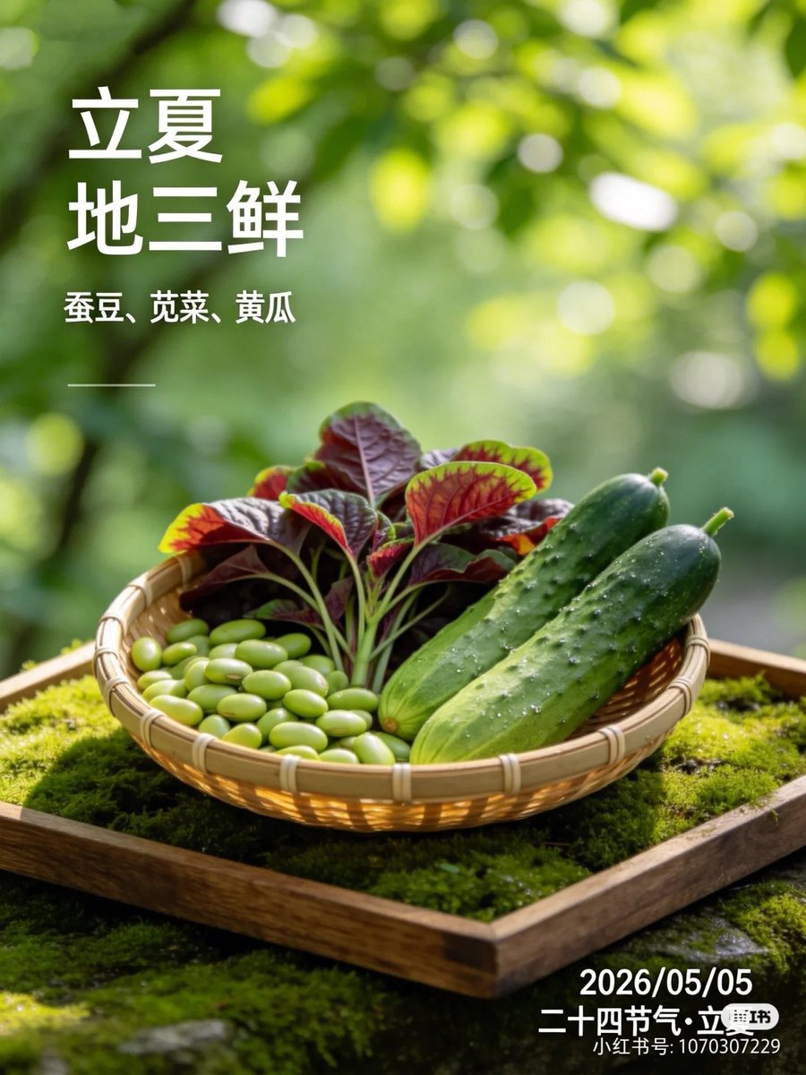 旧时小巷（互fo） tweet media