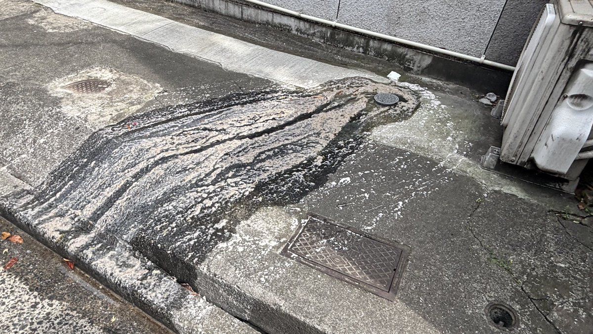 これ…叱られるやつだと思う