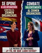 constanza luna tweet media