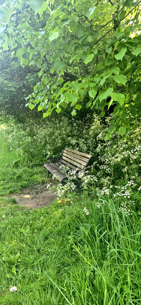 motoko gram tweet media