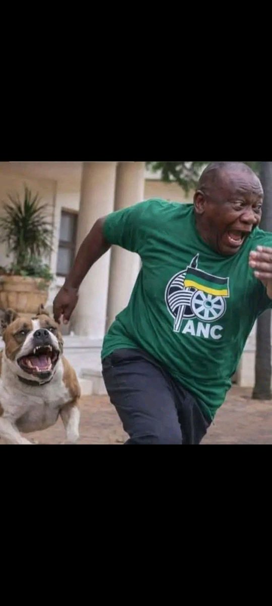 MashukucaX's tweet photo. @dr_zsaul1 That interdict is going 3fail on several grounds. 1. He can't argue urgency after 4 years. 2. He can't argue that he won't get justice in impeachment committee. This stalingrand attempt is stillborn. Hes only dragging ANC into the mud on the eve of local government elections https://t.co/CqNI1ZYQyh