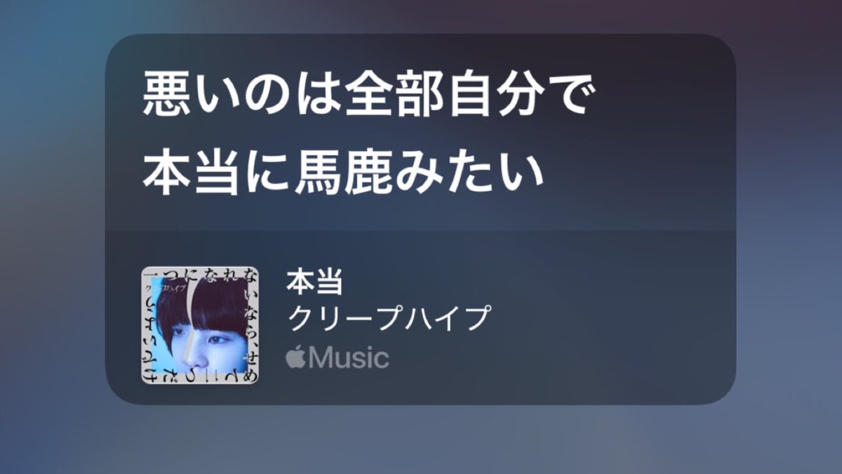 ゚ tweet media