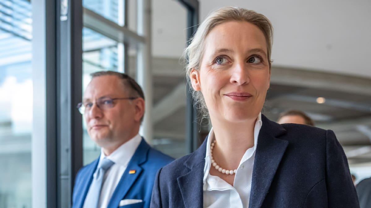 WELT tweet media