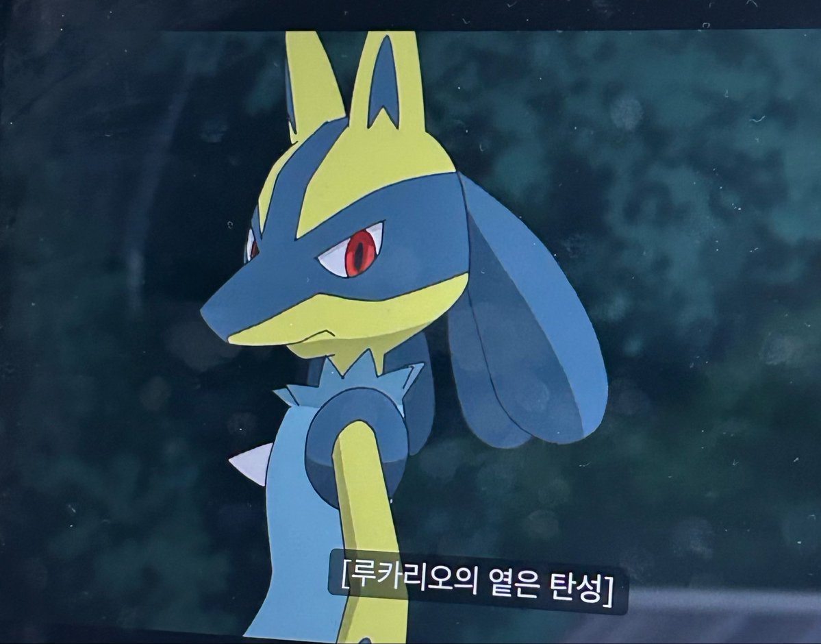 맹지 tweet media