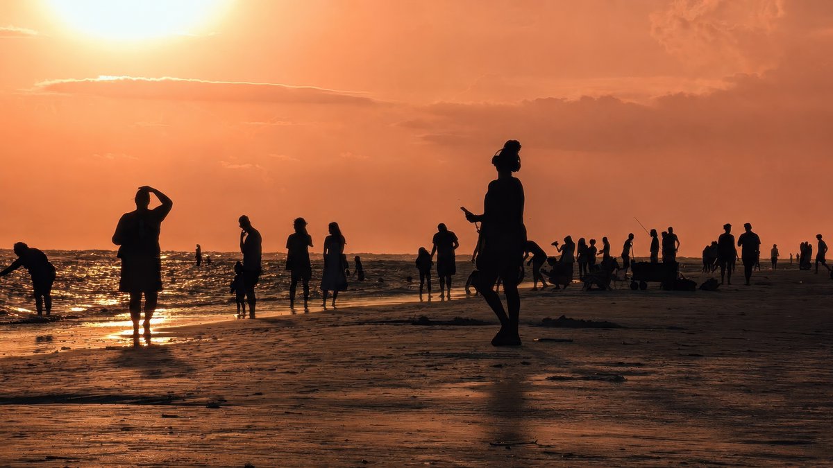 CompuCowBoy's tweet photo. Little Moments on the Beach at Sunset https://t.co/lqfNvRDvrW