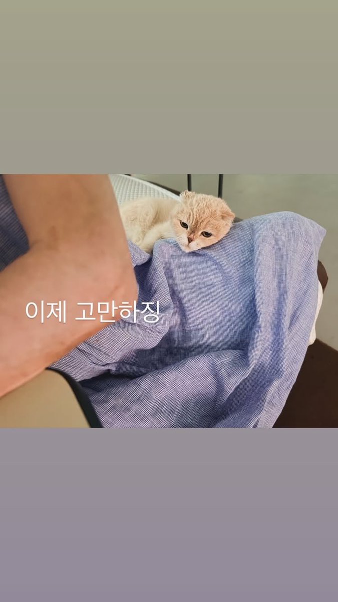 OneWon tweet media