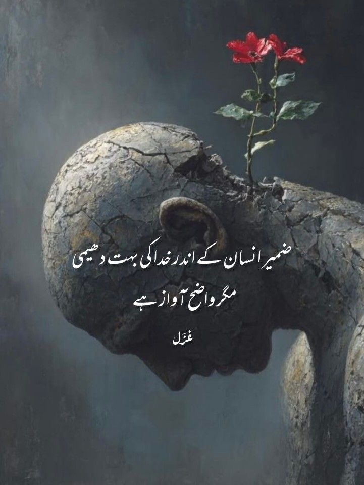 Mobeen Amin tweet media