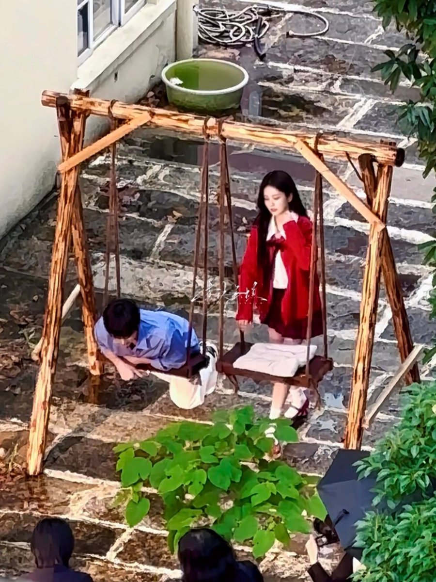 白鹿🍃 tweet media