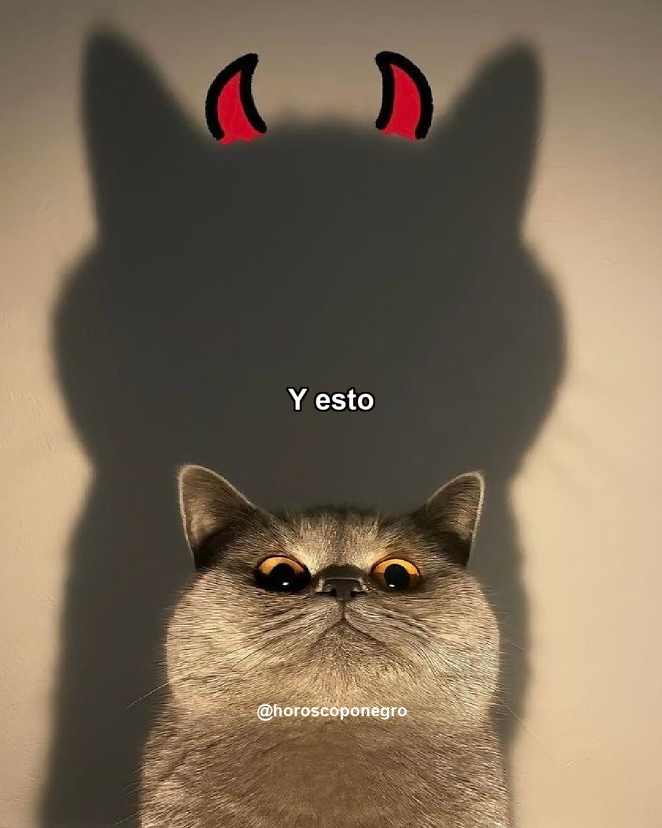 escorpio_hn's tweet photo. Vibras ♏ https://t.co/oIkAn2Dawv