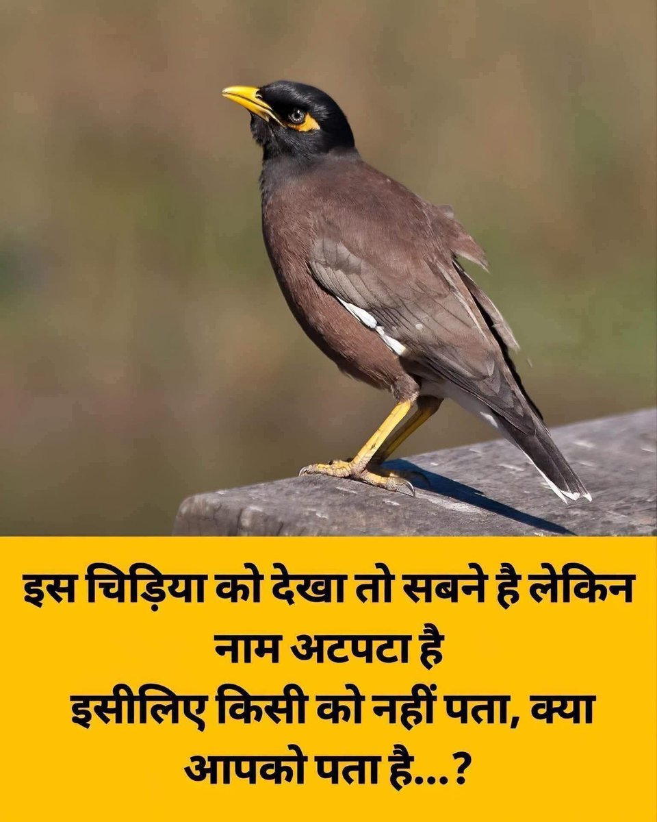 KrishnaSanjayG2's tweet photo. इसको देखा क्या कभी   ? https://t.co/jc4Km0Lya0