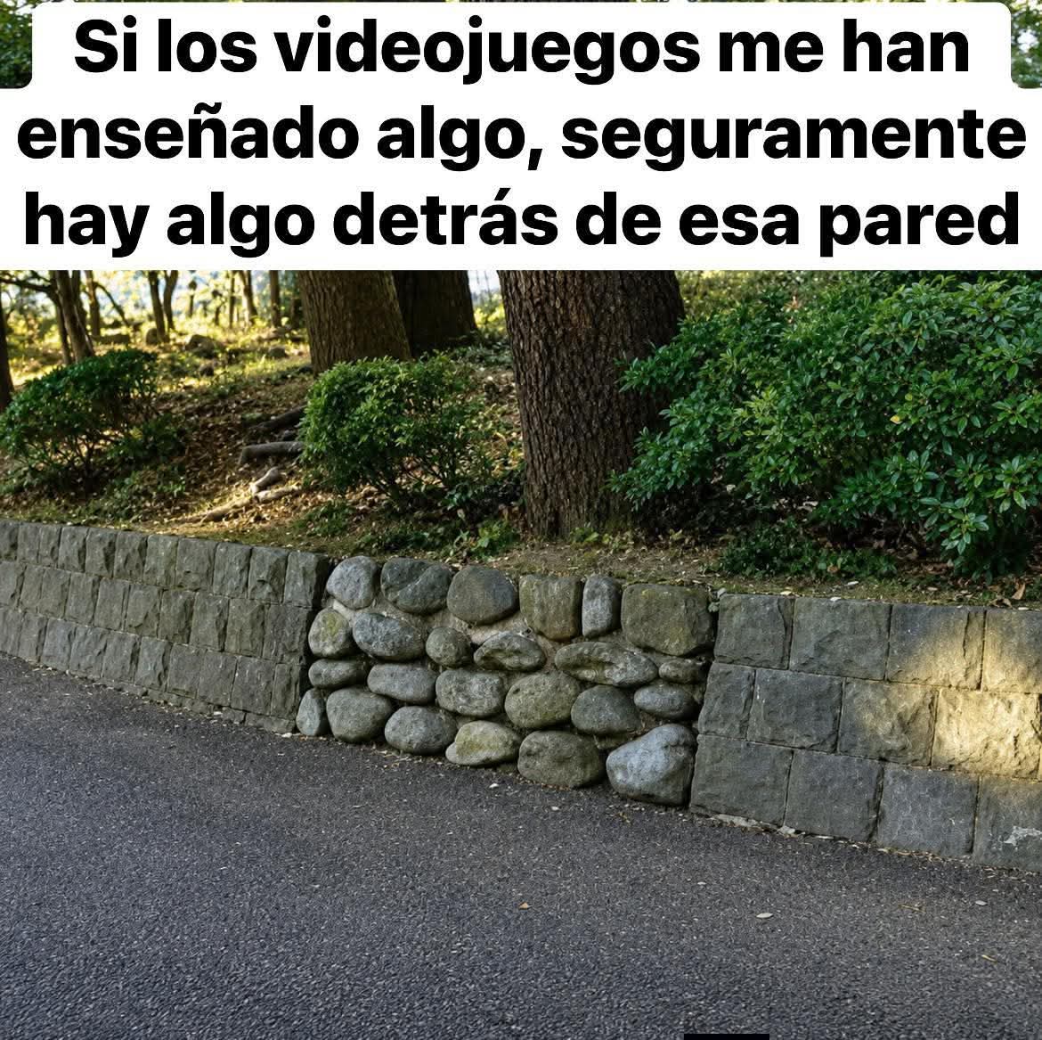 Condor Causa tweet media