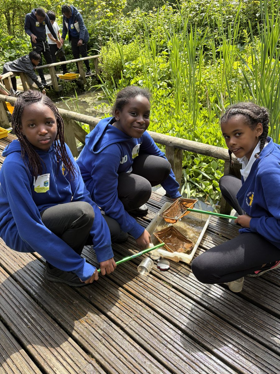St Patrick Catholic Primary School tweet media