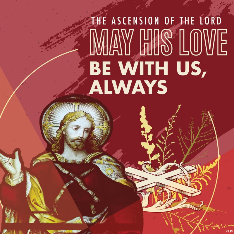 Holy Family tweet media