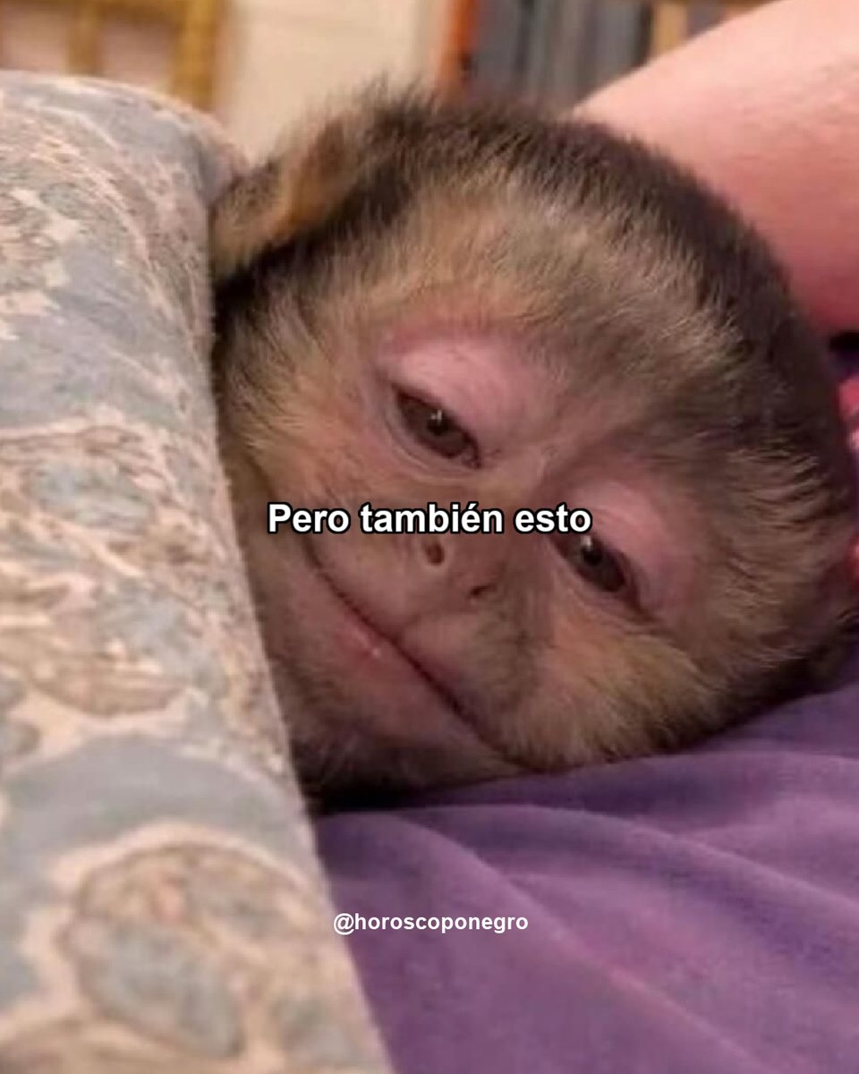 capricornio_hn's tweet photo. Vibras ♑ https://t.co/DfivfGiSEO