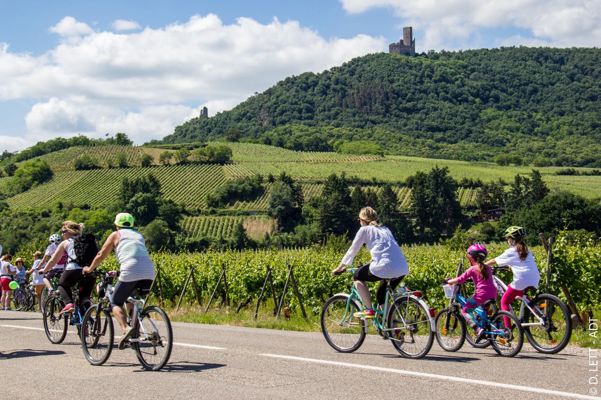 Alsace's tweet photo. Le saviez-vous ? La Route des Vins d'Alsace sera en fête le 7 juin prochain !! https://t.co/EEjfvo4M7z #Alsace #VisitAlsace https://t.co/XaOlArgGv4