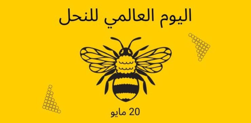 جمعية بيئتنا خضراء tweet media