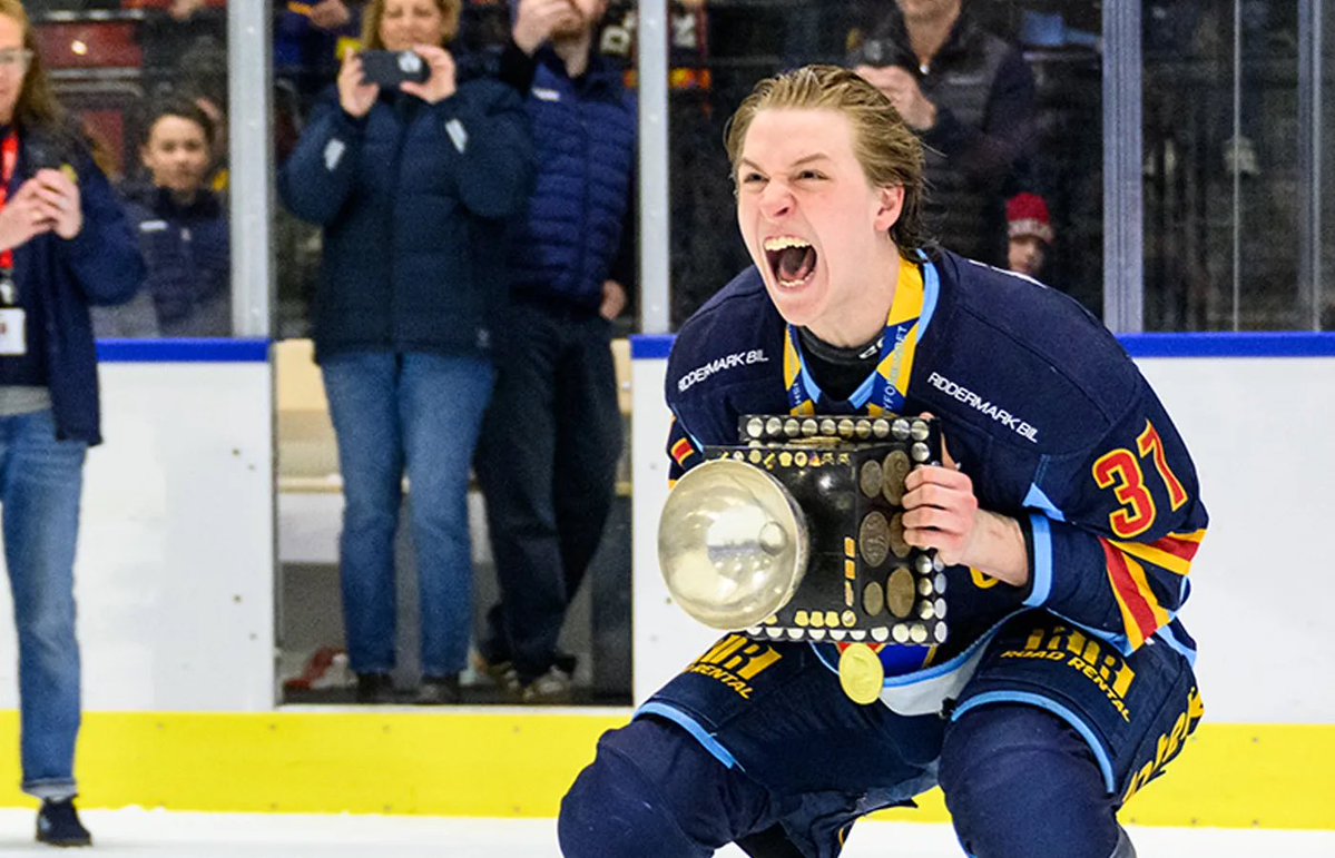 Djurgården - Silly tweet media