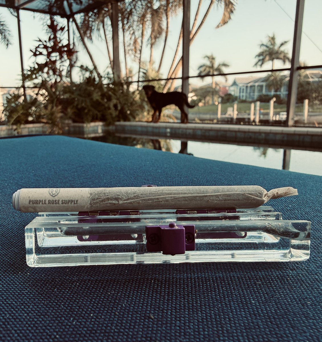 Rees71's tweet photo. @PurpleRoseSpply, it’s hard to impress a salty ass 70s kid, but y’all have changed the MF’n game.  My morning starts off right, every time… https://t.co/wwhdebRKWs