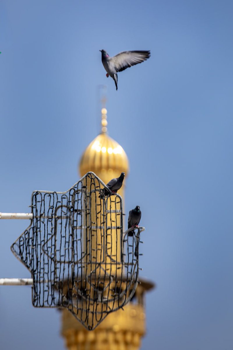 العتبة الحسينية المقدسة tweet media