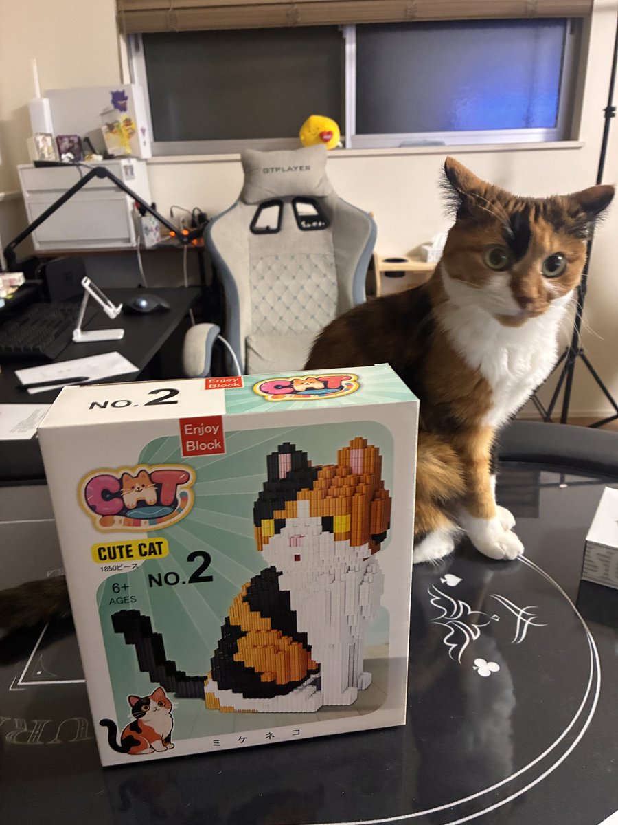 太田寛子　日本プロ麻雀連盟 tweet media