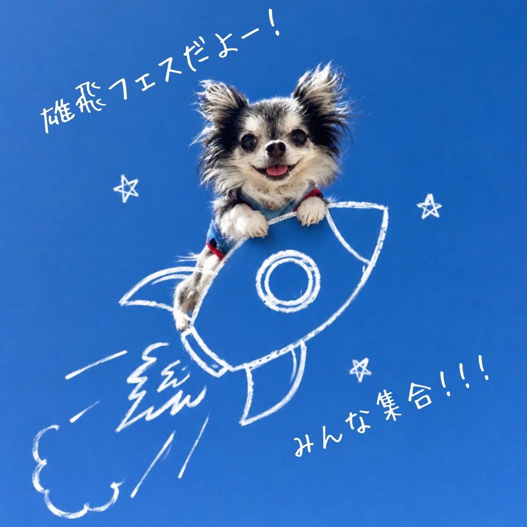yuuhikai's tweet photo. 【ほぼ２０周年！】
雄飛フェスの詳細を決めたよー٩( ᐛ )و

志望校に見合う【格】の育て方
雄飛会流：【偏差値７０突破の流儀】
https://t.co/bHQDGzqqnk

#はてなブログ #北辰テスト #北浦和 #さいたま市 #高校受験 #大学受験 #総合型選抜 #小論文 #積小為大 #チーム積小為大 #自反尽己 https://t.co/NtQzQaYRyZ
