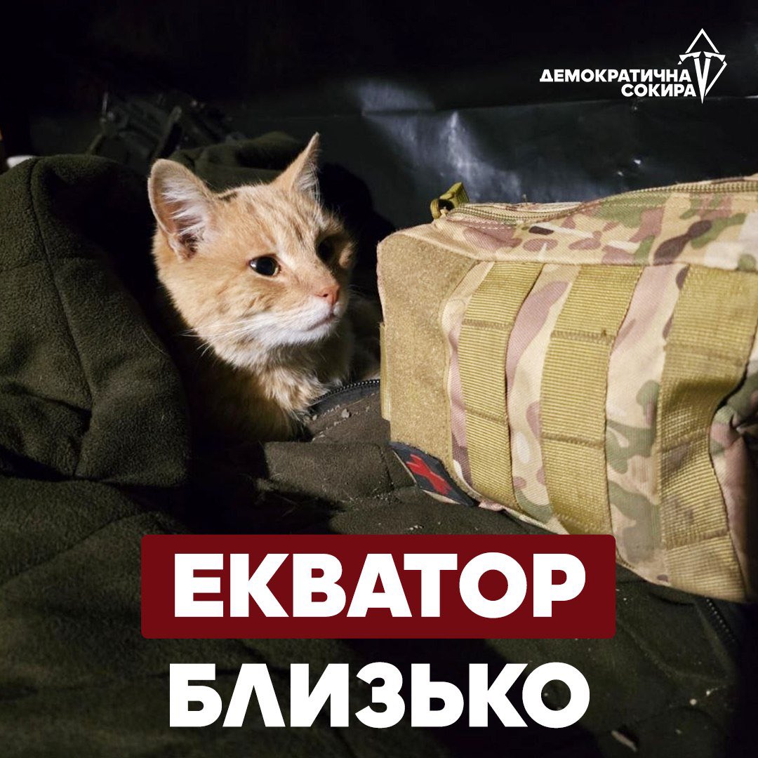 Демократична Сокира tweet media
