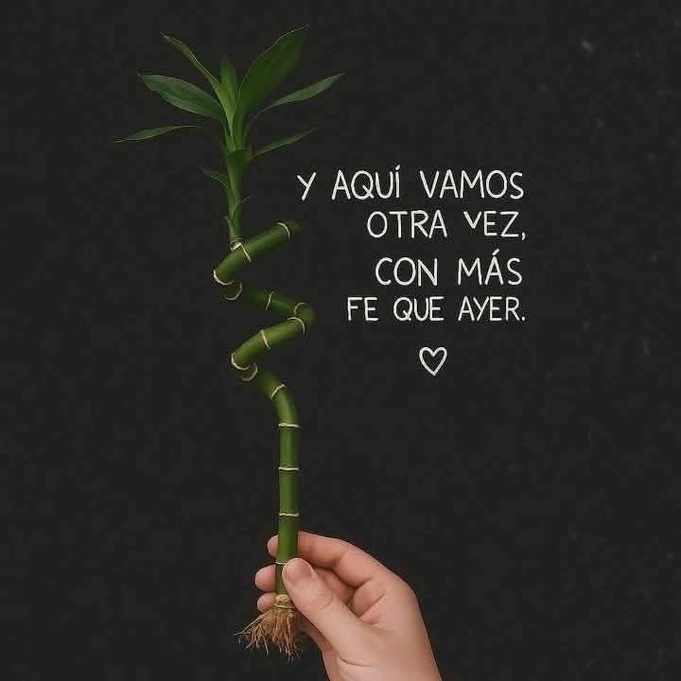 jorge augus 45 tweet media