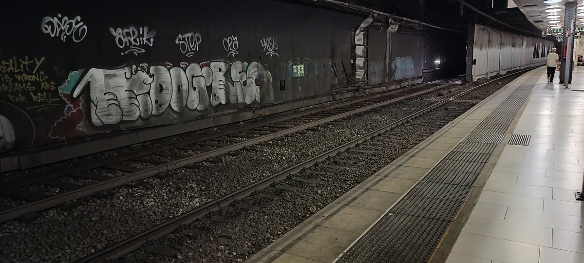 Plateula 🚞🚇🏳️‍⚧️🌈 tweet media