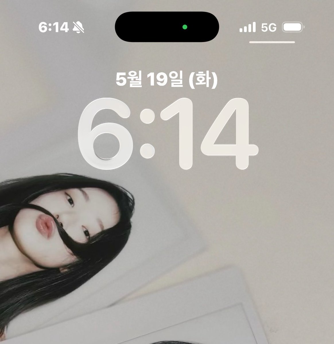 뿡이.. tweet media