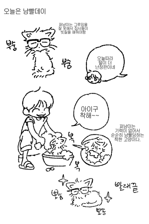 루트🍵 tweet media