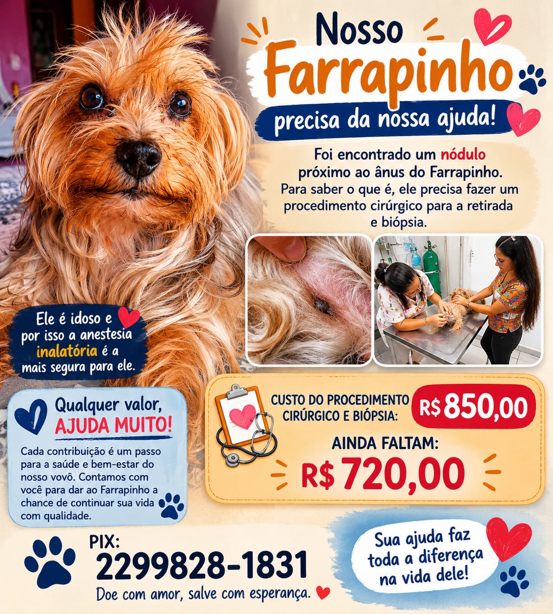 Amigos do Sonso tweet media