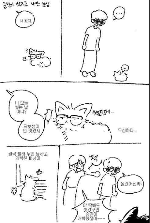 루트🍵 tweet media
