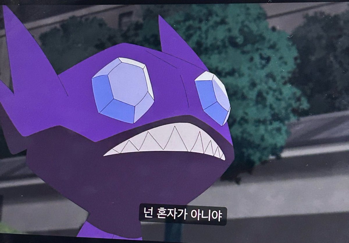 맹지 tweet media