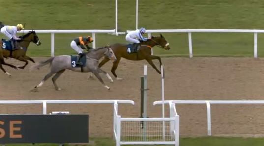 Racing Tips HQ tweet media