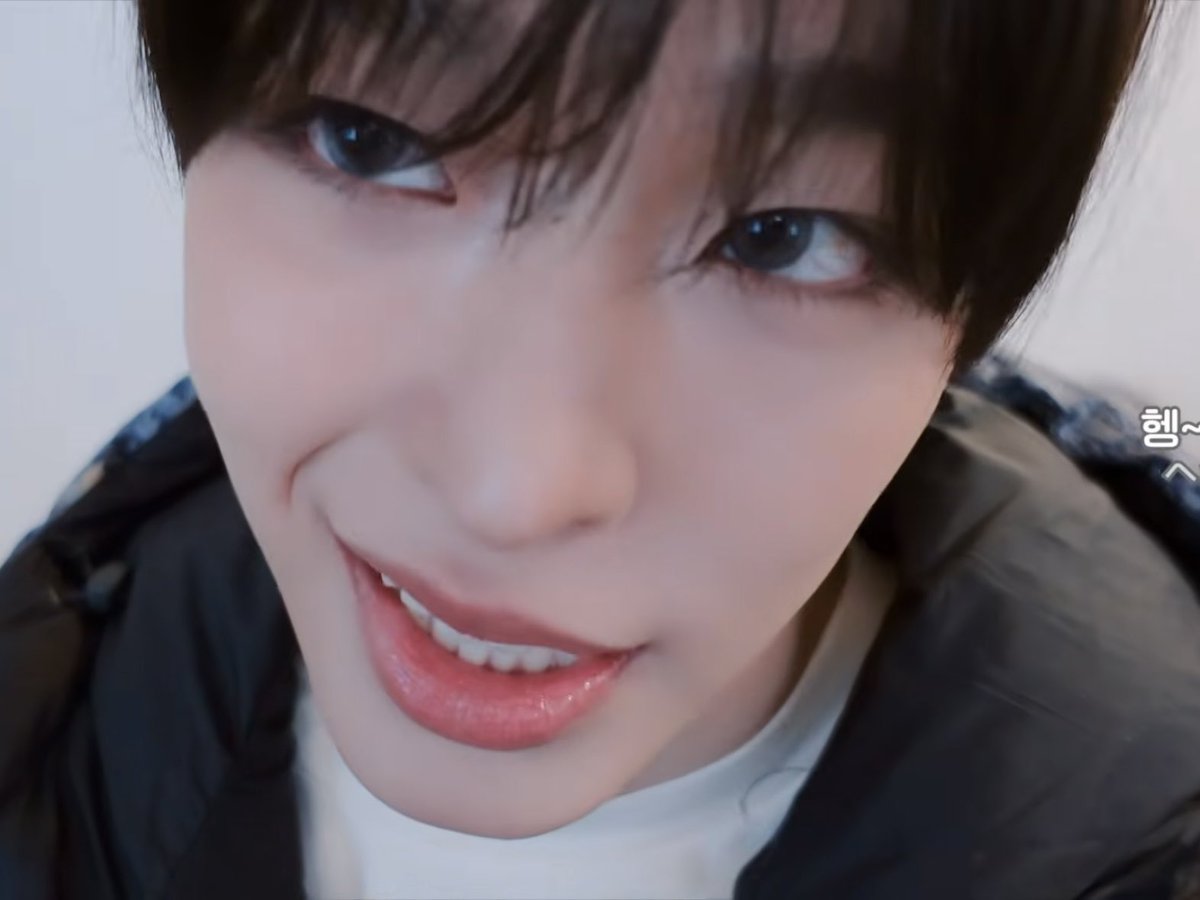 코이 tweet media