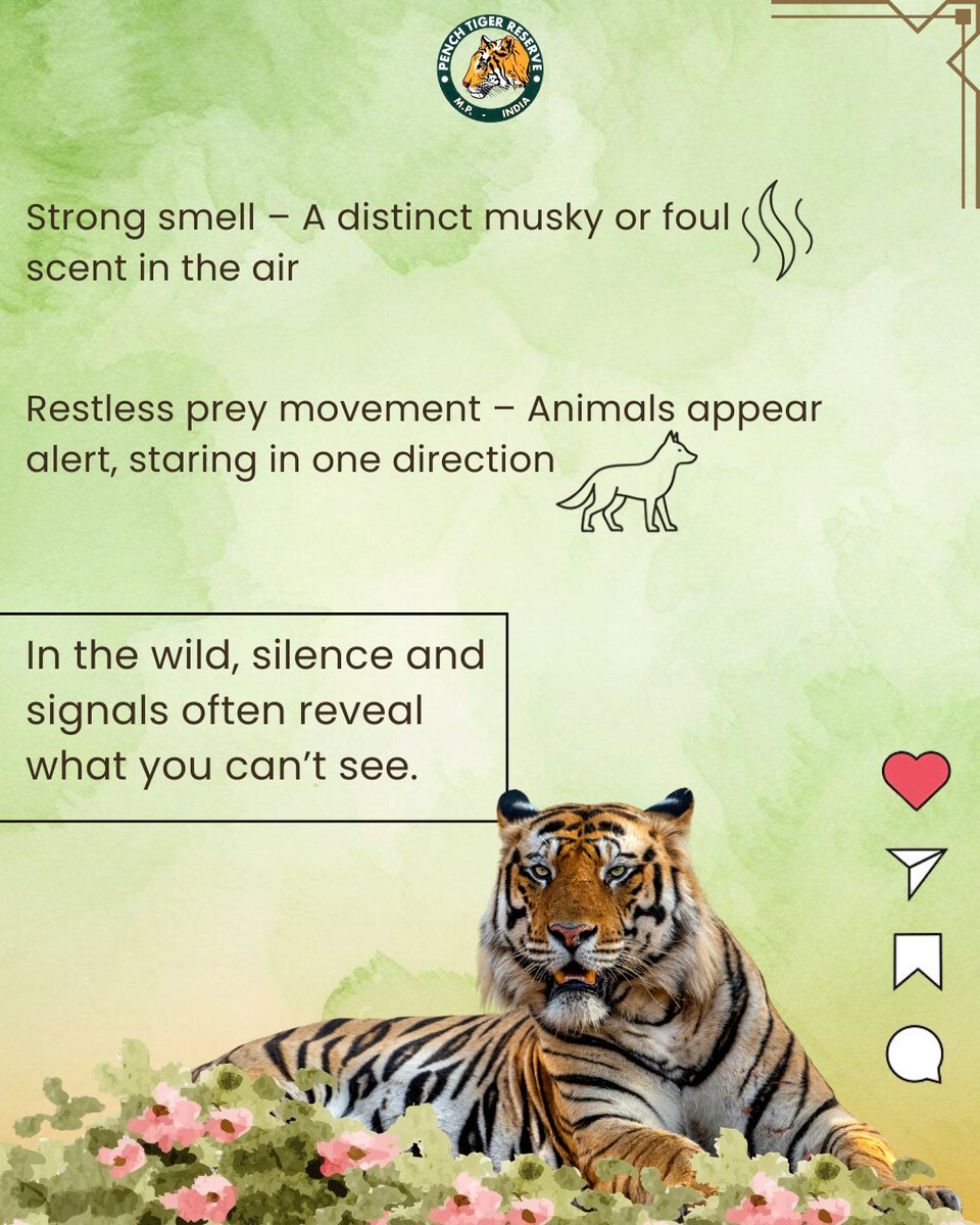 Pench Tiger Reserve tweet media