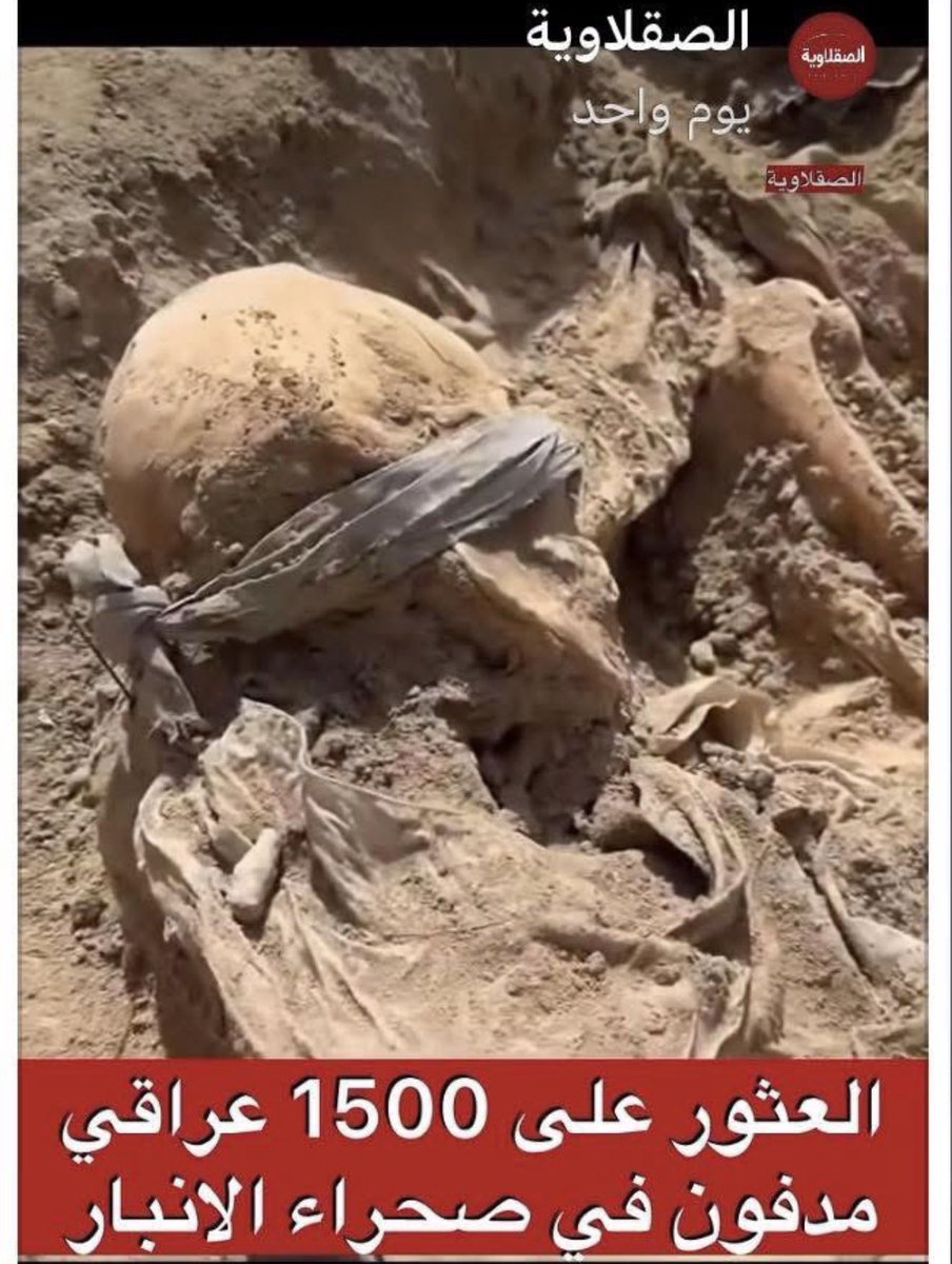 مصطفى الدليمي tweet media