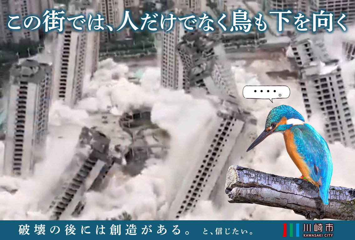 アメリカ・アマゾン tweet media